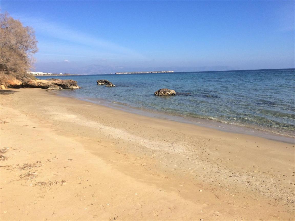 Tonia Apartments Paros คริสซี อัคติ ภายนอก รูปภาพ